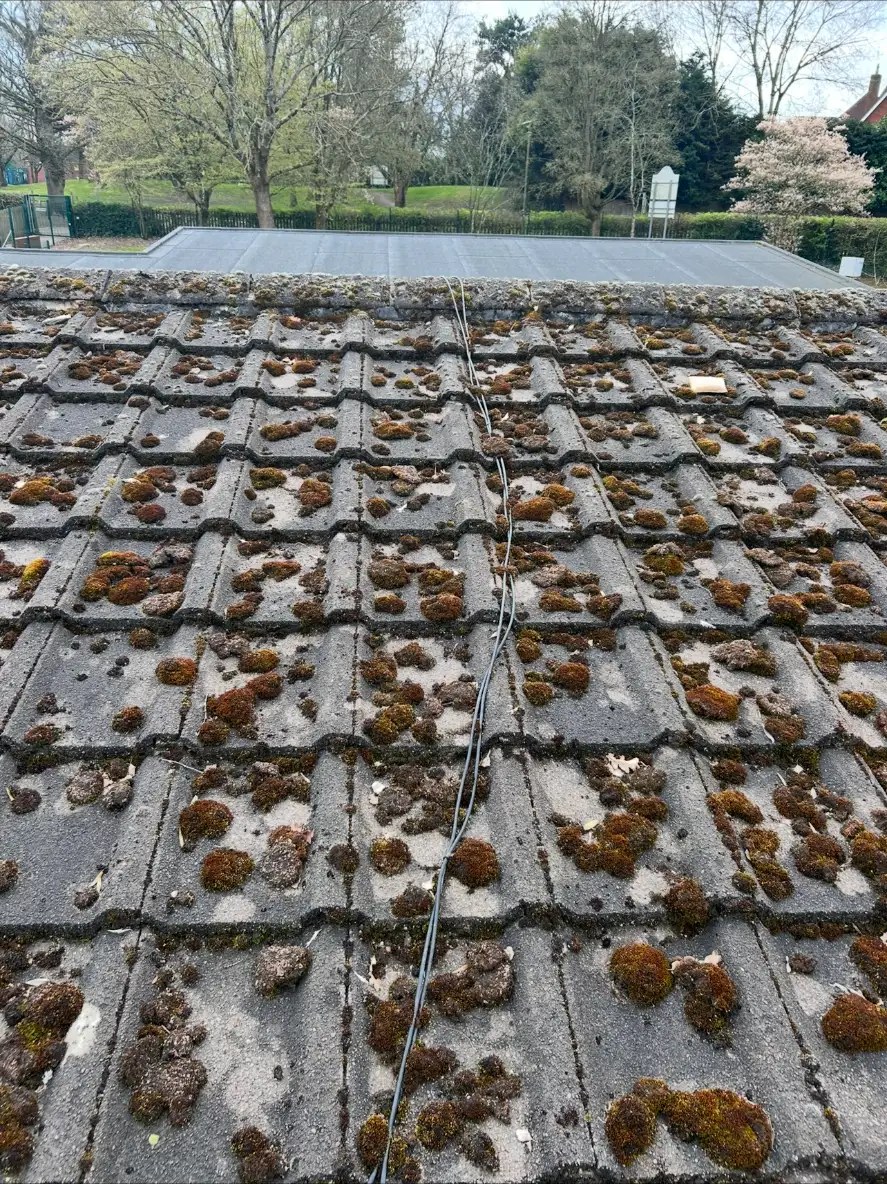 Solar cables running over moss-covered tiles on the school rooftop