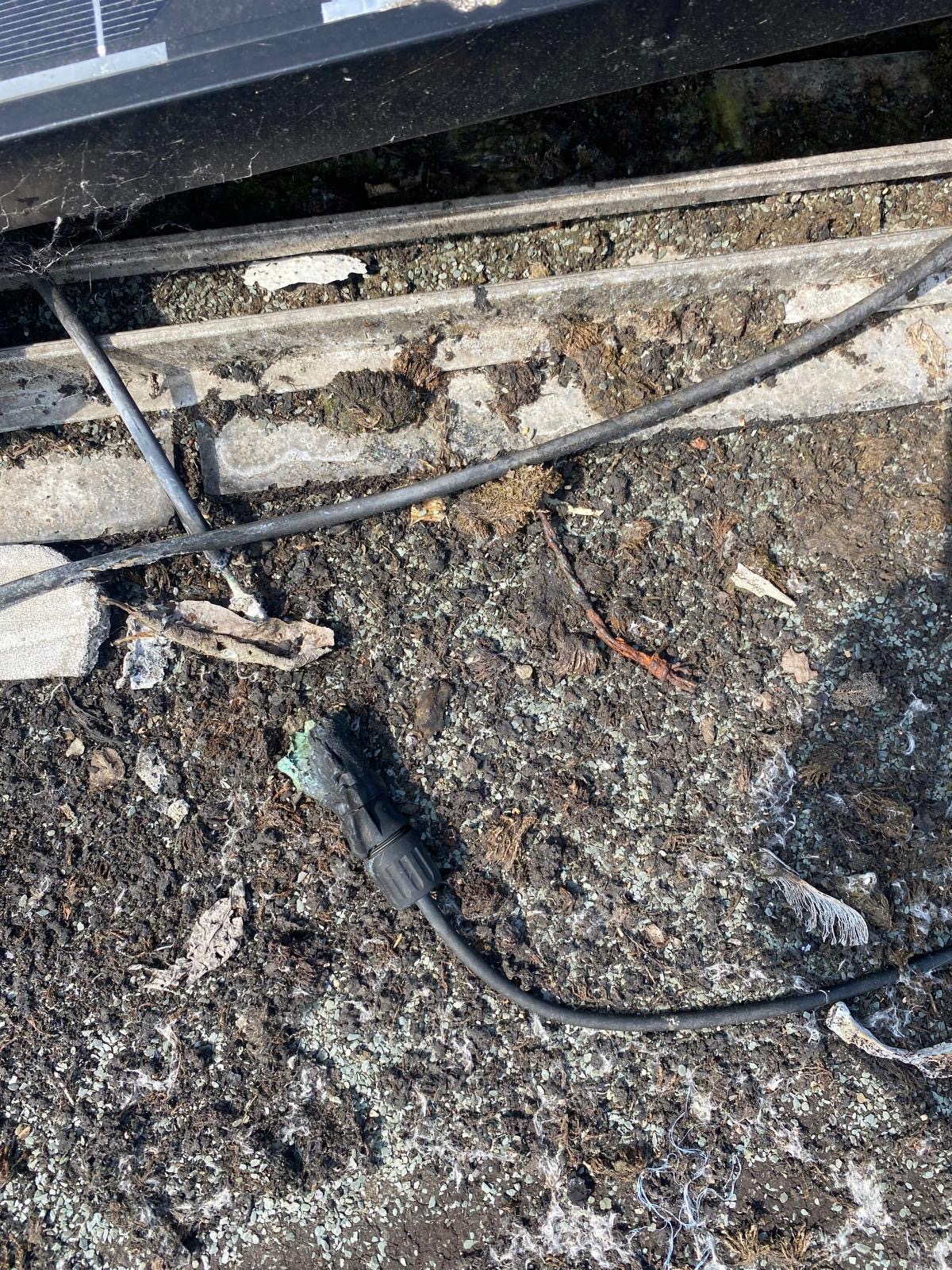 Pigeon fouling & nesting debris