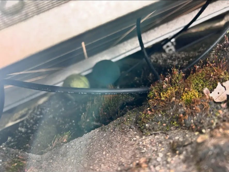 Close-up of cabling and debris beneath a school solar panel